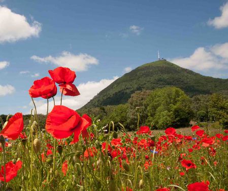 L'été en chaîne des puys