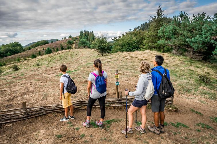 Randonnée à la journée volcanique et tectonique du puy de Jumes au puy des Gouttes