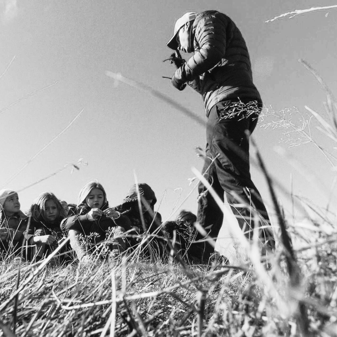 Devenez Professionnels Référencés